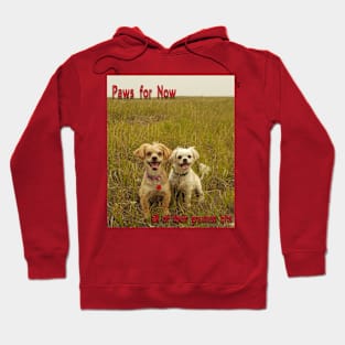 puppies in the field Hoodie